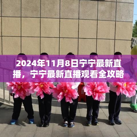 寧寧直播指南，2024年11月8日直播觀看全攻略與入門指南