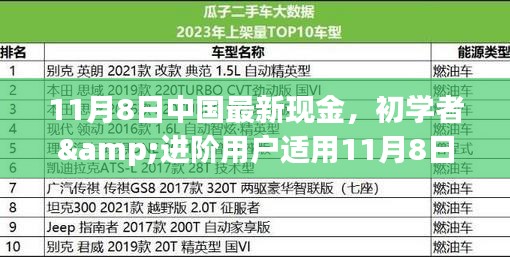 初學(xué)者與進階用戶指南，11月8日中國最新現(xiàn)金操作指南及任務(wù)完成步驟詳解