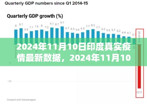 2024年11月10日印度疫情最新數(shù)據解析與應對指南，掌握疫情動態(tài)，科學防控