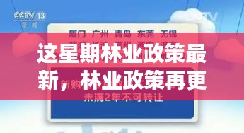 林業(yè)政策最新動向，本周更新及其時代影響力分析