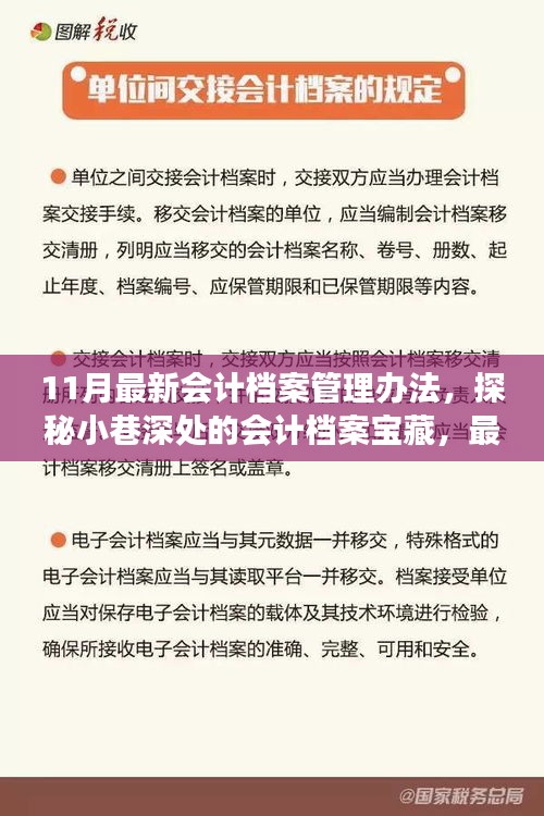 探秘最新會計檔案管理辦法，小巷深處的寶藏與獨(dú)特故事揭秘