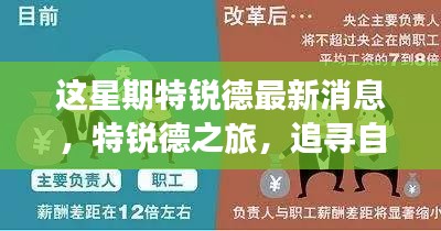 特銳德最新動(dòng)態(tài)，追尋自然之旅，重拾內(nèi)心寧?kù)o的旅程