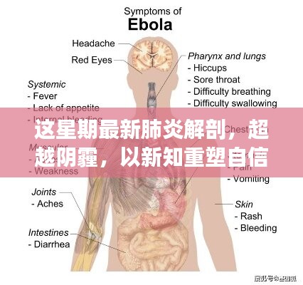 超越陰霾，最新肺炎解剖啟示錄，重塑信心與新知的探索