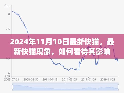 最新快貓現(xiàn)象，影響與未來(lái)發(fā)展觀察（2024年觀察點(diǎn)）