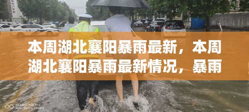 湖北襄陽(yáng)本周暴雨最新情況，影響、應(yīng)對(duì)措施全解析