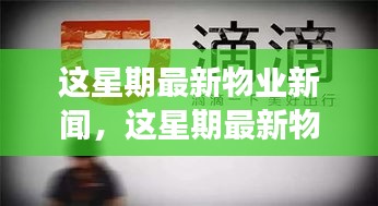 最新物業(yè)新聞一周概覽，全面解讀物業(yè)領(lǐng)域最新動態(tài)