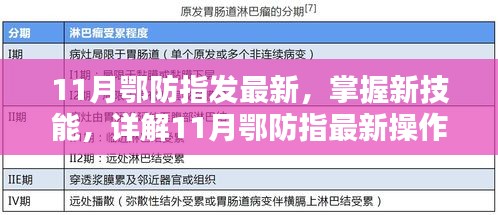 11月鄂防指最新操作流程步驟指南，掌握新技能的詳解