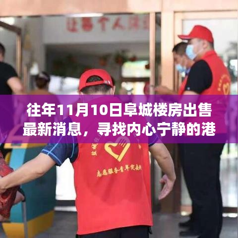 阜城樓房最新出售消息，尋找心靈寧?kù)o的自然探索之旅