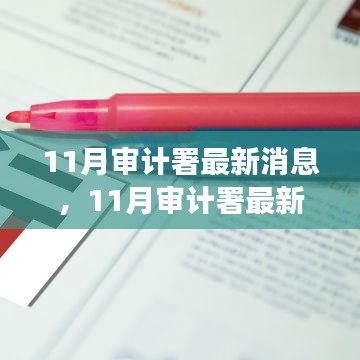 11月審計(jì)署最新消息深度解析與觀點(diǎn)闡述