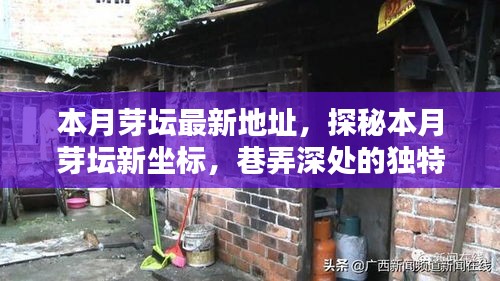 探秘本月芽壇新坐標(biāo)，巷弄深處的獨(dú)特小店最新地址揭秘