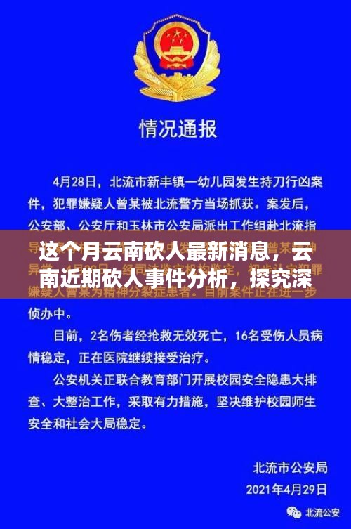 云南砍人事件最新消息，深層原因探究與各方觀點(diǎn)分析