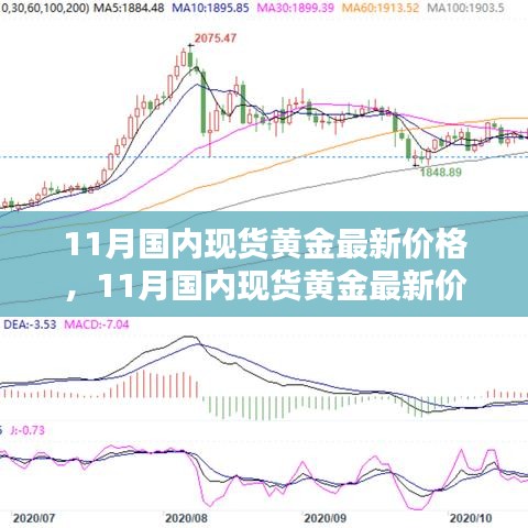 11月國內(nèi)現(xiàn)貨黃金最新價(jià)格深度解析與全面評(píng)測(cè)報(bào)告