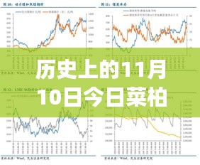 歷史上的11月10日，菜柏價格背后的勵志故事與最新行情，自信成就感的源泉