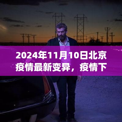 北京疫情最新變異下的溫情與友情日常，2024年11月10日最新觀察