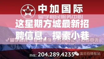 方城最新招聘信息揭秘，小巷秘境與獨特小店之旅