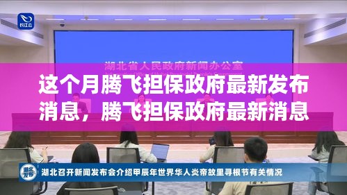 騰飛擔(dān)保政府最新消息解讀與操作指南，初學(xué)者與進(jìn)階用戶必讀指南