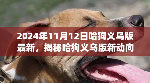 揭秘哈狗義烏版新動向，深度解讀與最新動態(tài)（2024年11月12日）