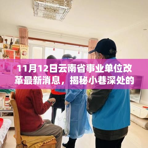 云南省事業(yè)單位改革最新消息下的特色小店探秘之旅