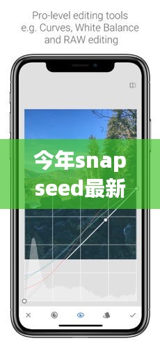 Snapseed最新版下載，回顧發(fā)展歷程，時代印記下的影響與地位