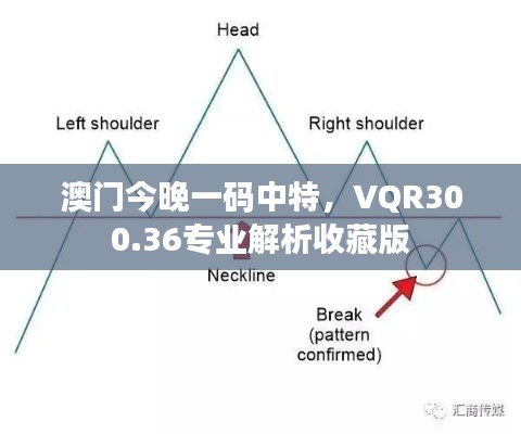 澳門今晚一碼中特，VQR300.36專業(yè)解析收藏版