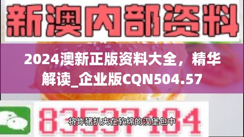 2024澳新正版資料大全，精華解讀_企業(yè)版CQN504.57