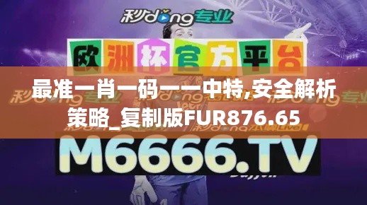 最準(zhǔn)一肖一碼一一中特,安全解析策略_復(fù)制版FUR876.65