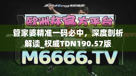 管家婆精準(zhǔn)一碼必中，深度剖析解讀_權(quán)威TDN190.57版