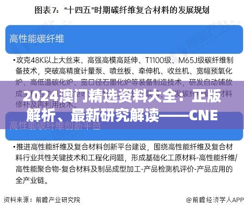 2024澳門精選資料大全：正版解析、最新研究解讀——CNE350.58可變版