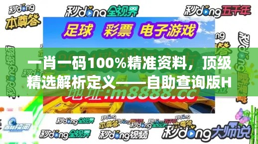 一肖一碼100%精準(zhǔn)資料，頂級精選解析定義——自助查詢版HOU688.73