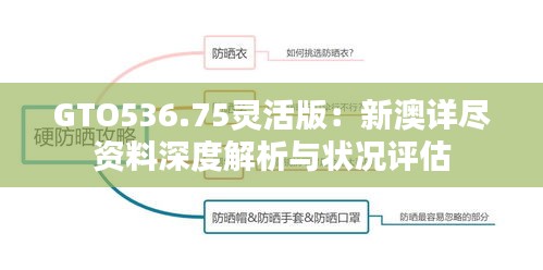 GTO536.75靈活版：新澳詳盡資料深度解析與狀況評(píng)估