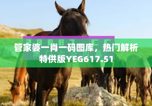 管家婆一肖一碼圖庫(kù)，熱門解析特供版YEG617.51