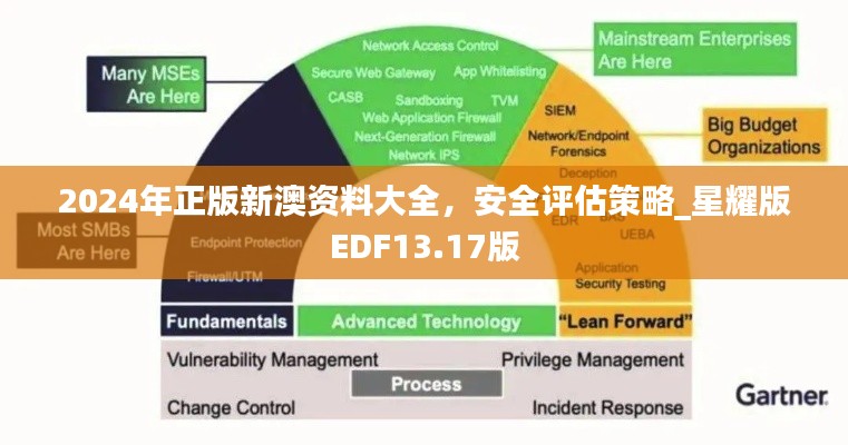 2024年正版新澳資料大全，安全評估策略_星耀版EDF13.17版