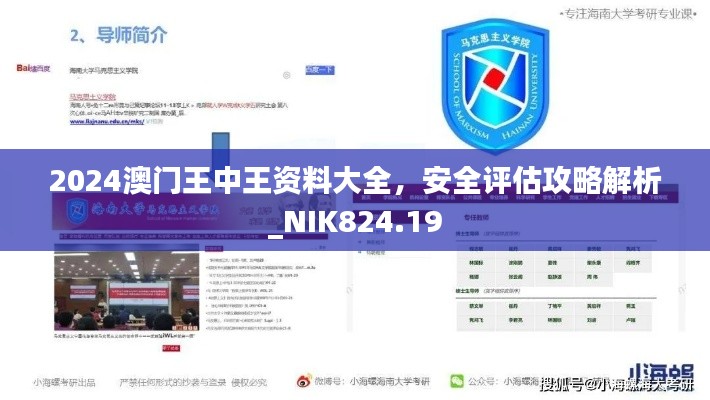 2024澳門王中王資料大全，安全評估攻略解析_NIK824.19