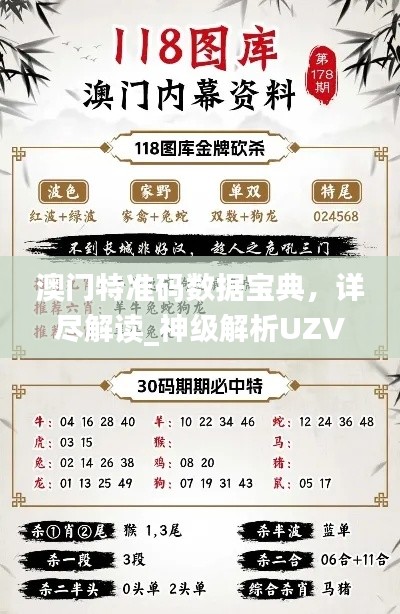 澳門特準碼數(shù)據(jù)寶典，詳盡解讀_神級解析UZV444.11