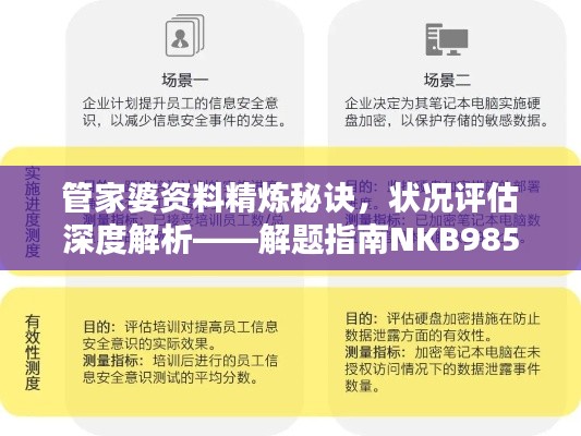 管家婆資料精煉秘訣，狀況評估深度解析——解題指南NKB985.33