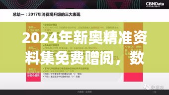 2024年新奧精準(zhǔn)資料集免費(fèi)贈閱，數(shù)據(jù)解讀詳盡_授權(quán)版ARV587.79