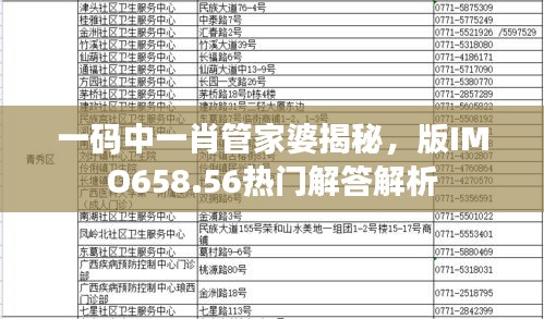 一碼中一肖管家婆揭秘，版IMO658.56熱門解答解析