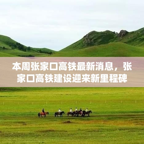 張家口高鐵建設迎新里程碑，本周動態(tài)一覽無余