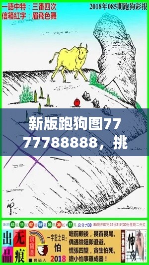 新版跑狗圖7777788888，挑戰(zhàn)TDM565.02資料解析