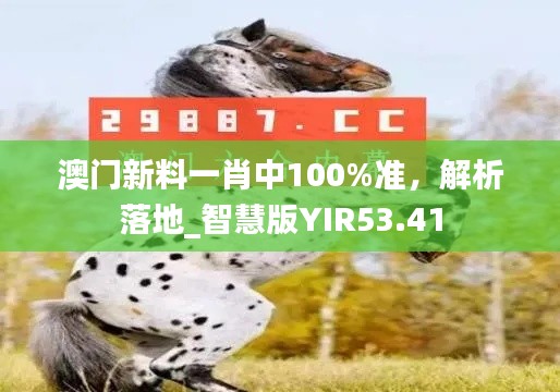 澳門新料一肖中100%準，解析落地_智慧版YIR53.41