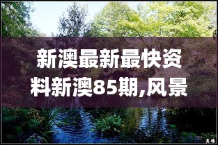 新澳最新最快資料新澳85期,風(fēng)景園林_WKJ103.96長(zhǎng)生境