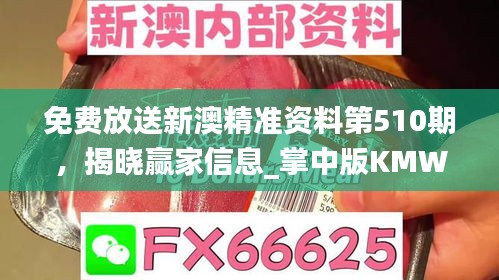 免費(fèi)放送新澳精準(zhǔn)資料第510期，揭曉贏家信息_掌中版KMW387.73