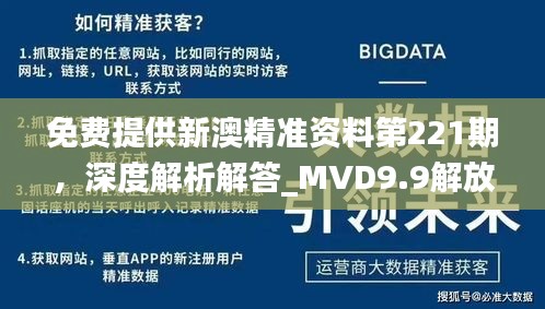 免費提供新澳精準資料第221期，深度解析解答_MVD9.9解放版