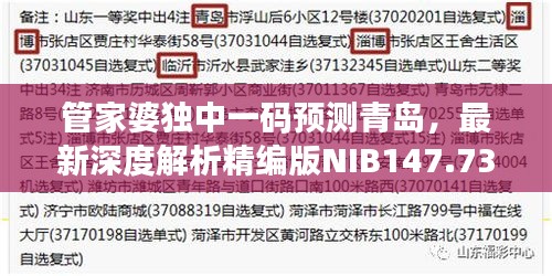 管家婆獨(dú)中一碼預(yù)測青島，最新深度解析精編版NIB147.73