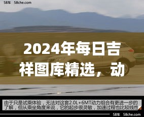 2024年每日吉祥圖庫精選，動(dòng)態(tài)解讀_SXR232.69遺憾缺席