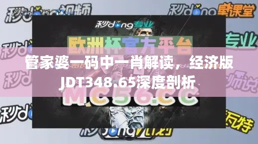 管家婆一碼中一肖解讀，經(jīng)濟版JDT348.65深度剖析