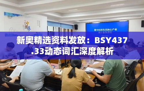 新奧精選資料發(fā)放：BSY437.33動態(tài)詞匯深度解析