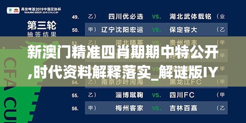 新澳門精準四肖期期中特公開,時代資料解釋落實_解謎版IYW843.45