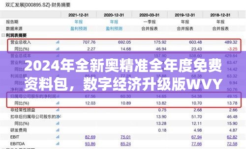 2024年全新奧精準全年度免費資料包，數(shù)字經(jīng)濟升級版WVY560.95