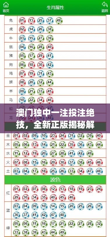 澳門獨中一注投注絕技，全新正版揭秘解析_GBL206.5通用版